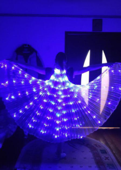 Aripi LED Fluture