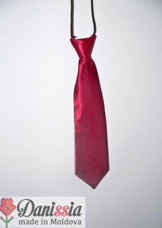 Cravată bordo